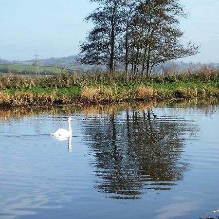 The Bower Inn Μπριτζγουότερ Εξωτερικό φωτογραφία Swans on the River Wye